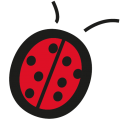 coccinelle