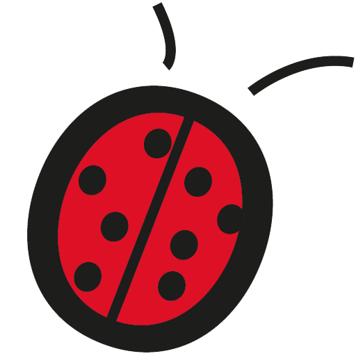 coccinelle